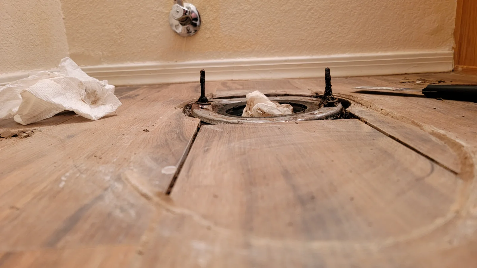 Toilet replacement & flange repair: toilet removed